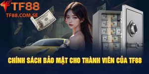 Quy trình thu thập và xử lý thông tin người dùng